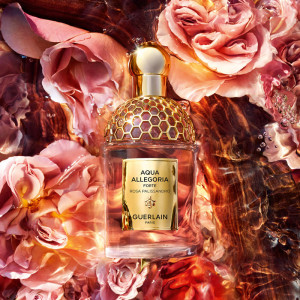 Aqua Allegoria Forte - Rosa Palisander - Eau de Parfum Aqua Allegoria Forte - Rosa Palisander - Eau de Parfum